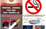 Tăng cường thực thi Luật Phòng, chống tác hại của thuốc lá 